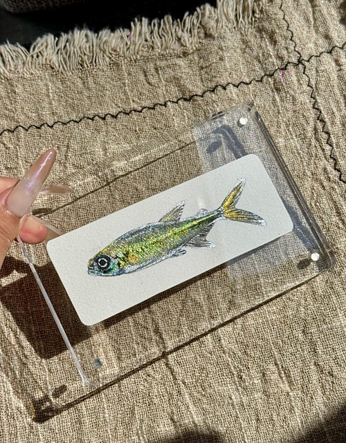 Hand-Painted Shimmer Fish Acrylic Desk Decor