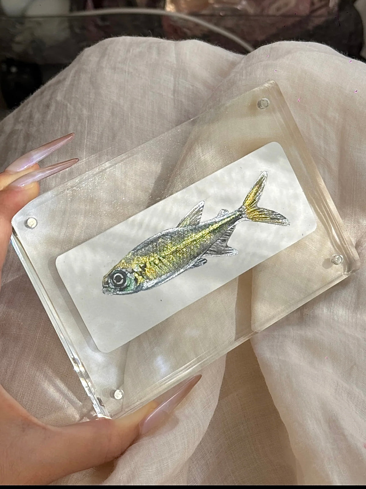 Hand-Painted Shimmer Fish Acrylic Desk Decor