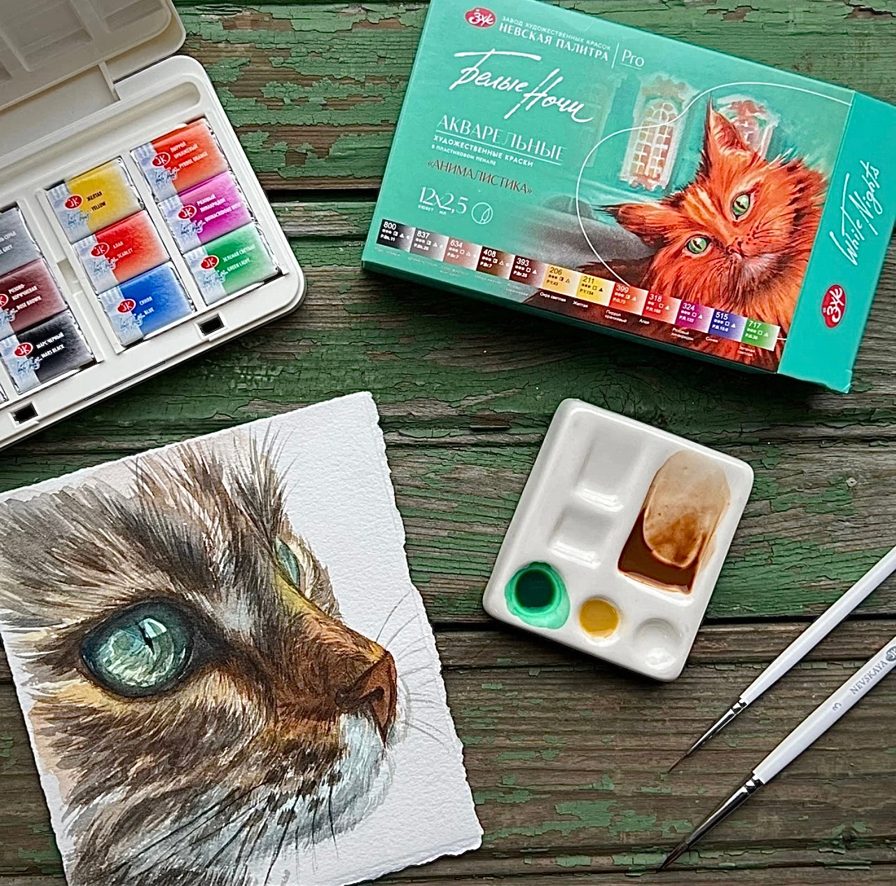 White Nights Professional Watercolor Set — 12 Half Pans, Modern History, New Artist Colors